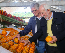 FESTA DA POKAN
