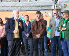 FESTA DA POKAN
