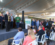 FESTA DA POKAN
