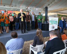 FESTA DA POKAN
