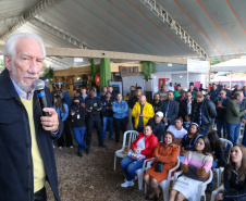FESTA DA POKAN