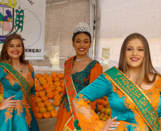 FESTA DA POKAN