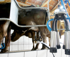 Custos de produção e clima elevam o preço do leite