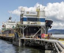   Embarque de líquidos de origem vegetal é destaque nas exportações pelo Porto de Paranaguá