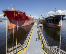   Embarque de líquidos de origem vegetal é destaque nas exportações pelo Porto de Paranaguá