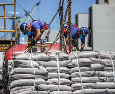 Aumentam as exportações de Carga Geral pelos portos do Paraná