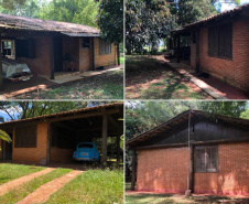 Viveiro de mudas de Pato Branco é o primeiro a receber melhorias em projeto voluntário