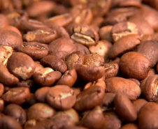 Café Qualidade Paraná está com inscrições abertas