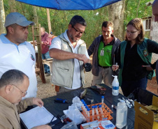 Sesa realiza ações de coleta de toxinas de peixes peçonhentos