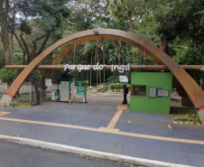 Governo instala colmeias do Poliniza Paraná e inaugura Parque Urbano na Semana do Meio Ambiente 