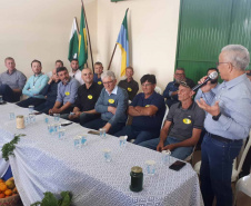 Recursos do Estado impulsionam agricultura familiar na Região Central do Paraná