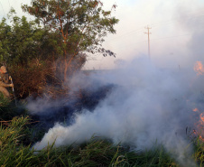 Estado alerta para necessidade de cuidados contra incêndios florestais