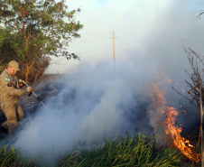 Estado alerta para necessidade de cuidados contra incêndios florestais