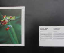 Mostra sobre o bicentenário da Costa Rica entra em cartaz na Biblioteca Pública