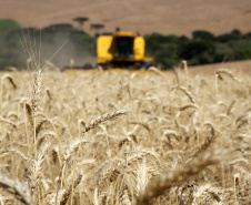 Produtor rural: saiba como gerar a nota fiscal eletrônica através do aplicativo Nota Fiscal Fácil 