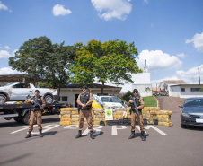 Policiais Militar apreende mais de uma tonelada de maconha no Oeste do Paraná 