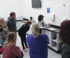 Projeto apoia mulheres produtoras de queijo na fabricação, regularização e comercialização -  
