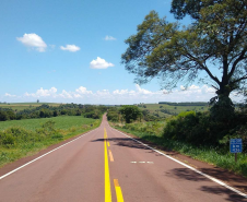 DER/PR está contratando serviço de poda de árvores em rodovias do Oeste e Sudoeste