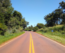 DER/PR está contratando serviço de poda de árvores em rodovias do Oeste e Sudoeste