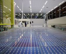 Sengi Solar
