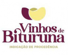 Conquista de Indicação Geográfica abre novos mercados para vinho do Bituruna
