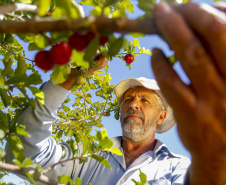 Produtores recebem nesta quarta-feira prêmio que valoriza boas práticas do agronegócio