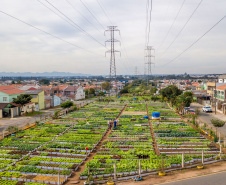 Hortas urbanas sob linhas de energia produzem toneladas de alimentos orgânicos no PR