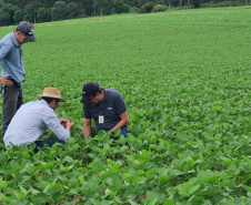 Giro Técnico da Soja reúne mais de 1000 produtores no Estado