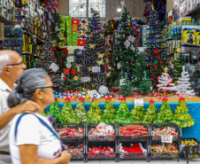 Polícia Civil orienta cidadãos sobre cuidados durante compras de Natal