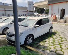 Portos do Paraná arrecada R$ 1,9 milhão com leilão de veículos
