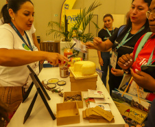 Festival Internacional das Cataratas 