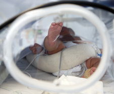 Cuidado materno-infantil garante queda de 82% no número de óbitos maternos no Paraná