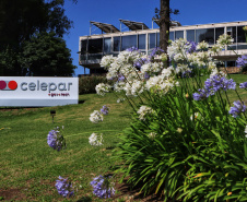 Premiações, internacionalização e criação de novas plataformas marcam 2022 da Celepar