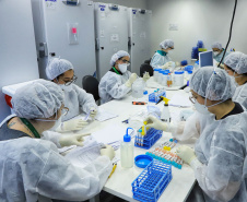 Para fortalecer portfólio, Tecpar diversificou investimentos e pesquisas na área da saúde