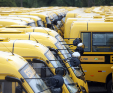 onibus