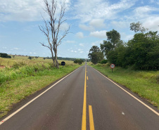 PR-556 São João do Caiuá - Santo Antônio do Caiuá 