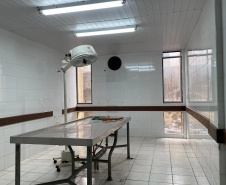Antigo IML do Centro de Curitiba será aberto para uma visita guiada neste mês