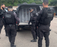 Policiais penais cumprem mandados de prisão durante Operação de Fiscalização da Divisão de Monitoração Eletrônica