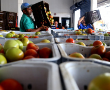 Banco de Alimentos - Comida Boa