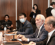 VICE-GOVERNADOR