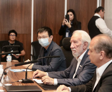 VICE-GOVERNADOR