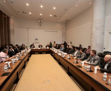 VICE-GOVERNADOR