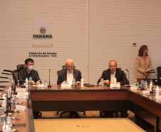 VICE-GOVERNADOR