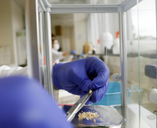 Polícia Científica do Paraná desponta na identificação de novas drogas e inserção de perfis genéticos