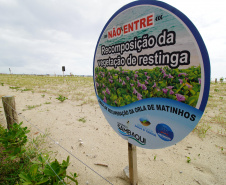 Revitalização da Orla de Matinhos vai ampliar em quase 5 vezes a área com restinga nativa
