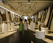 MON oferece oficinas artísticas e mediações em fevereiro