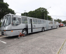 detran - placa preta