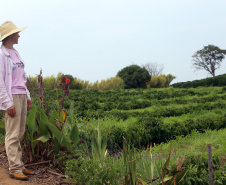Silvana Santos Marcomini Fávaro, produtora de café