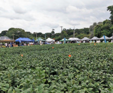 Com apoio do IDR, Smart Farm de Londrina reuniu inovações digitais do agronegócio