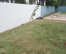 Conselho Tutelar Campo Magro